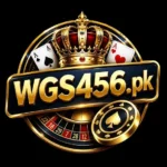 WG 456 Game