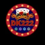 DK 222 Game