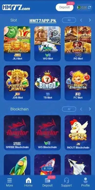 HM 77 Game